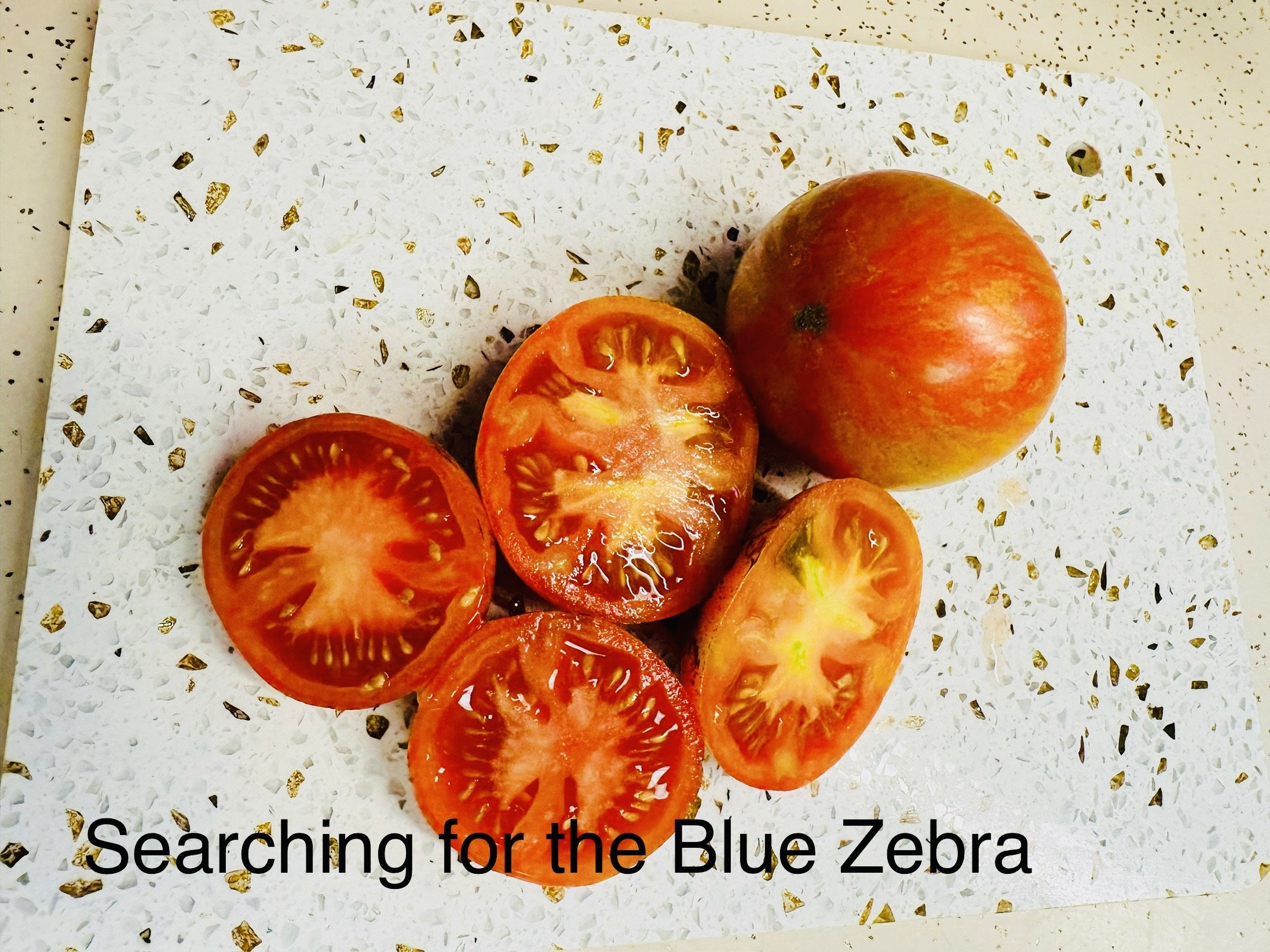 Searching For The Blue Zebra Tomato Seeds