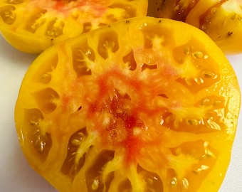 Pineapple Heirloom Tomato Seed