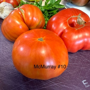 McMurray #10 Tomato seeds