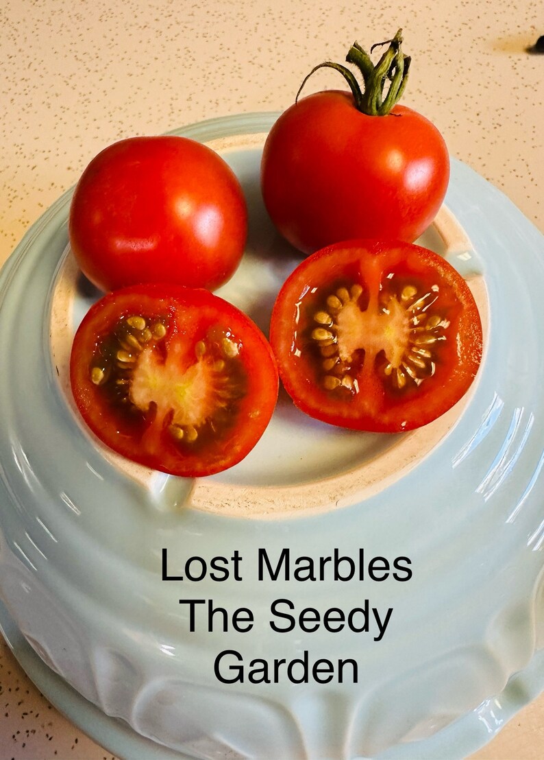 Theseedygarden Lost Marbles Tomato Seeds