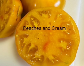 Peaches and Cream Tomato Seeds
