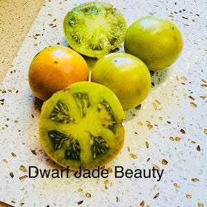 Dwarf Jade Beauty Tomato Seeds