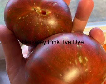 Berkley Tie Dye Pink Heirloom Tomato Seed