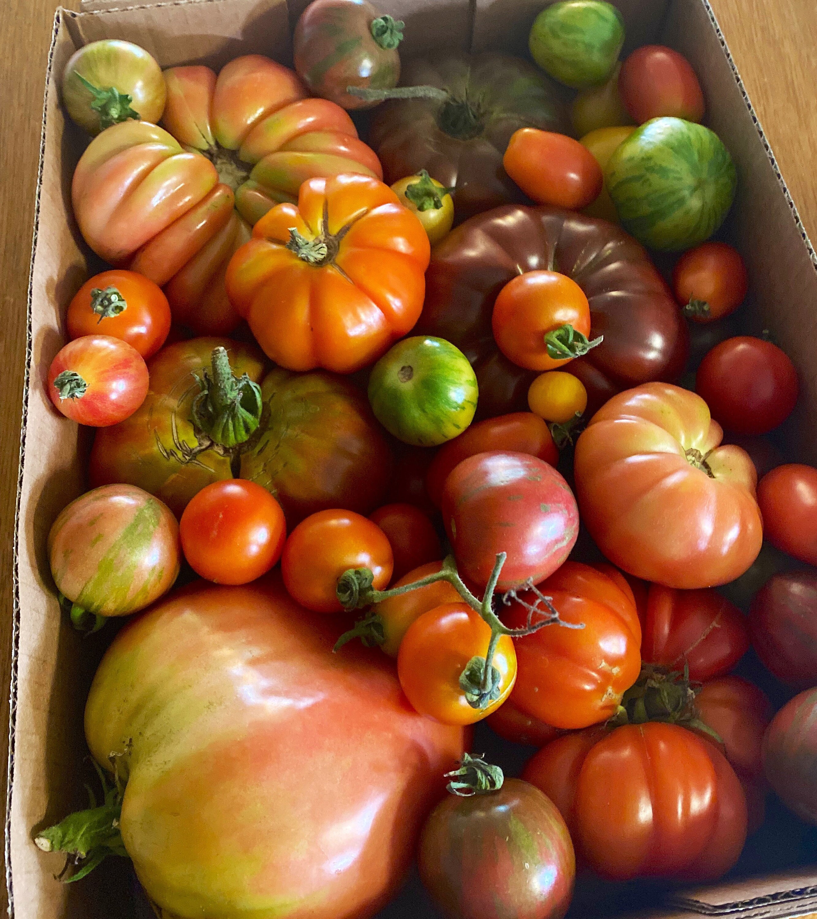 25 Mystery Tomato Heirloom Seeds Many Varieties Etsy UK