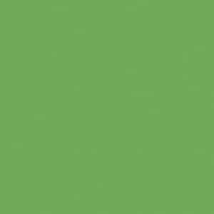 CONFETTI COTTONS Riley GREEN Basic, from Riley Blake