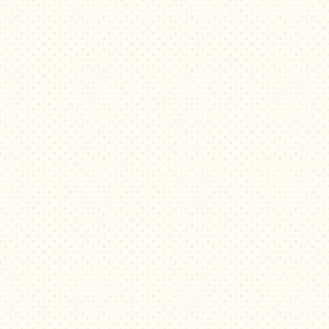 May include: A white background with a subtle pattern of small, evenly spaced gray dots.