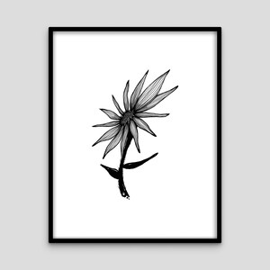 Dancing Flower - Black & White - Doodle Illustration - Digital Print - 5x7in, 8x10in, 11x14in, 16x20in