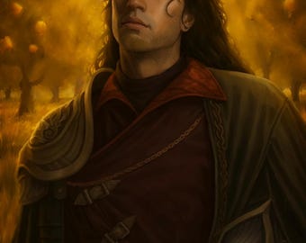 Ritratto del personaggio, disegni fantasy