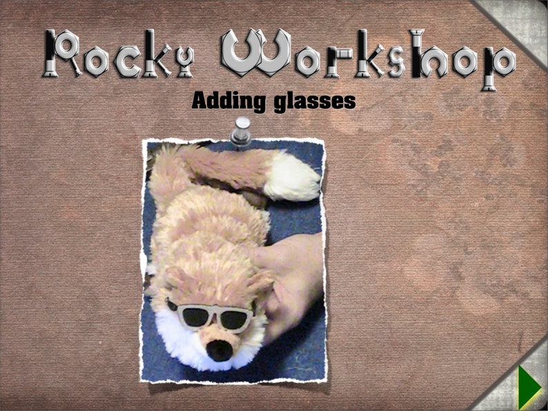 Turn your Rocky Raccoon spring animal puppet into a real character in your show. If you use a puppet in your show, this booklet is for you image 3