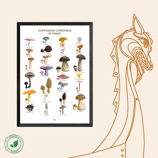 Edible Mushroom Poster from France / Vegetal Collection