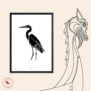Heron Poster / Bird Collection