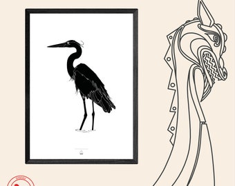 Affiche Héron / Collection Oiseau
