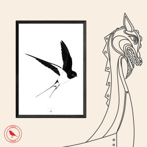 Swallow Poster / Bird Collection