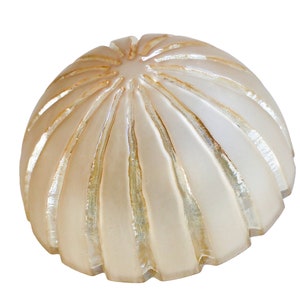 Vintage Mid Century Flush Mount Yellow Glass Wall or Ceiling Light