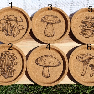 Frog and Toad Cork Coaster Set, Cottagecore Decor, Frog Coasters, Mushroom Decor image 7