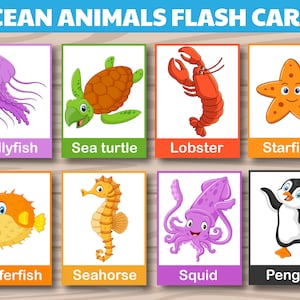 24 Ocean Animals Vocabulary Flash Cards - Printable Digital Download for Homeschooling and Pre-School - Learn OCEAN ANIMALS at Home
