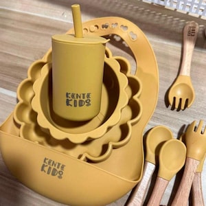 6 Piece Silicone Feeding/Weaning Set