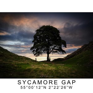 Photo Art Print Digital Download - Sycamore Gap Tree, Hadrian's Wall, Northumberland