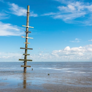 May include: A wooden pole with multiple horizontal wooden planks attached to it stands in shallow water. The pole is in the middle of a wide, flat, sandy beach with a blue sky and white clouds in the background.