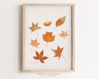 Autumn Leaves Printable Art Print, Fall Home Decor, Halloween Wall Art, Modern Autumnal Instant Download