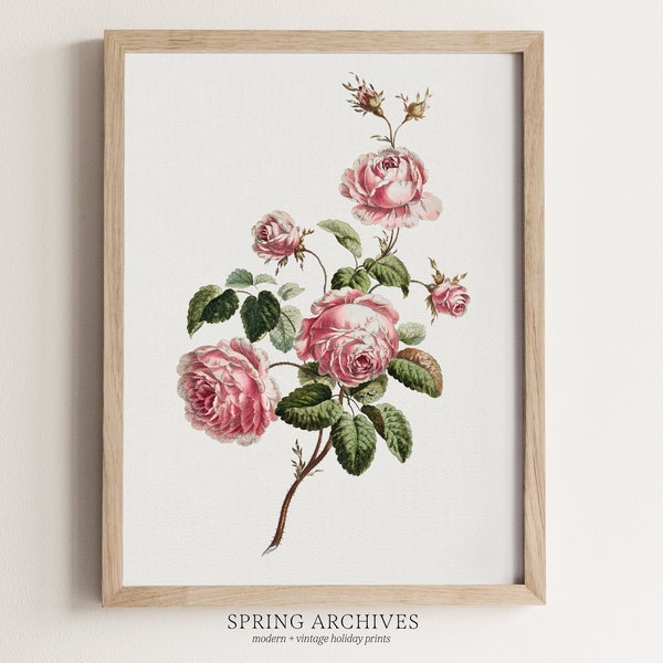 PRINTABLE Vintage Pink Rose Drawing Print, Valentines Day Decorations Digital Download, Floral Home Decor, Flower Wall Art Print At Home