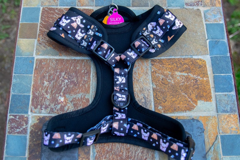 French Bulldog Collar, Lead and Poop Bag Holder Etsy