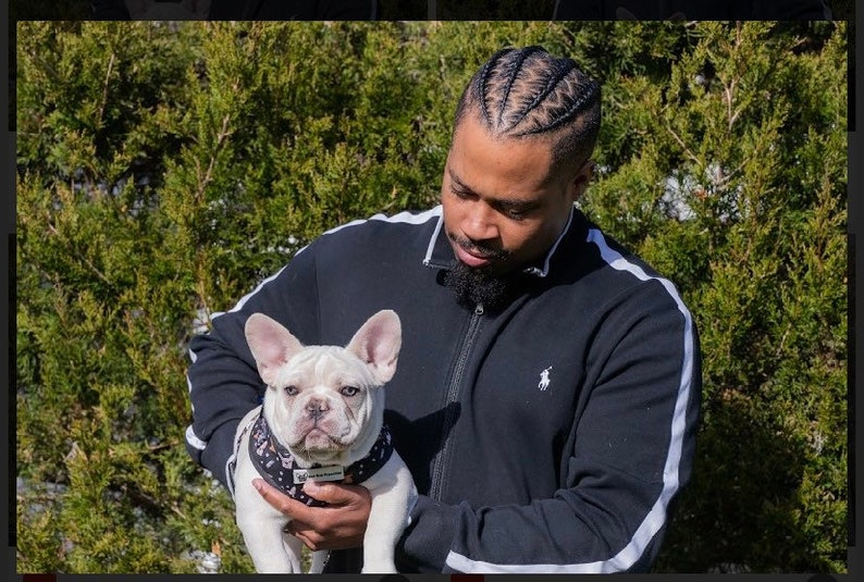 French Bulldog Collar, Lead and Poop Bag Holder Etsy