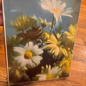 May include: A framed floral print featuring a cluster of daisies with white petals and yellow centers. The daisies are set against a soft blue background, with some flowers in full bloom and others as buds. The frame is a neutral color.