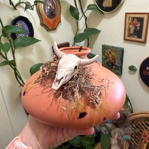 May include: A peach-colored ceramic vase with a white skull, feathers, and dried foliage. The vase has a rounded shape and a small opening at the top. Decorative elements include feathers and dried plants.