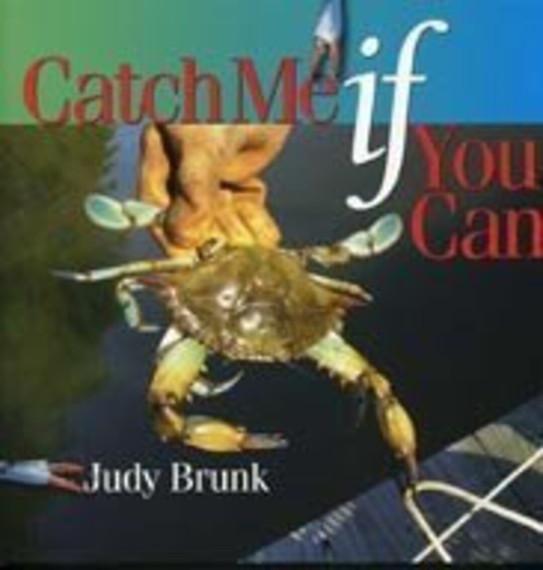 Catch Me If You Can. 2008 Judy Brunk. Fine Book and Cover. Stated 2nd