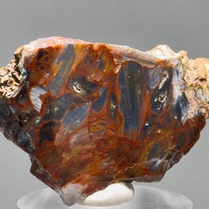 Rare Pietersite Slice With Quartz - Silver Blue Chatoyant Flashes, Tempest Stone - Namibia