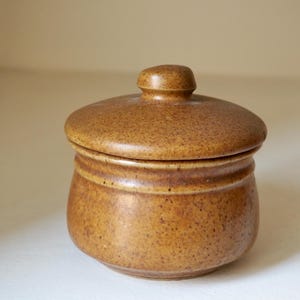 May include: A small, round, lidded ceramic jar in a speckled, earthy brown color. The jar has a slightly bulbous body and a rounded lid with a small knob. The overall design is simple and rustic, suitable for storing small items.