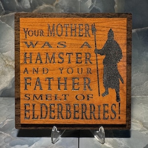 Medieval Insult Wood Wall Plaque | Inspired by Monty Python | Funny Fantasy Comedy Decor