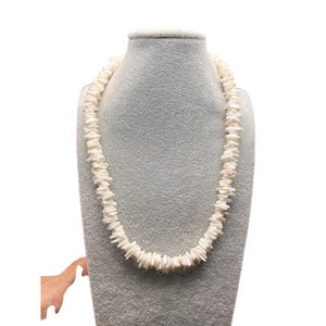 May include: A necklace composed of numerous small, irregular, off-white shell chips strung together in a single strand. The individual shell pieces vary slightly in shape and size, creating a textured, organic appearance around the entire length.