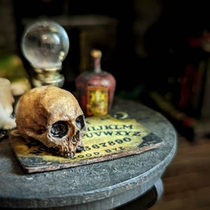 1:12 Scale Skull - Ancient looking vanitas style human skull for doll house, room box or diorama