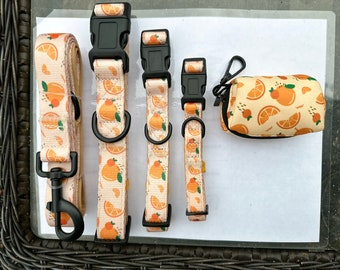 Dog Walking Set