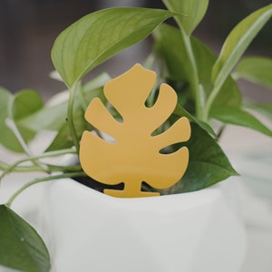 Monstera shaped sticky traps for fungus gnats (on-sale)!
