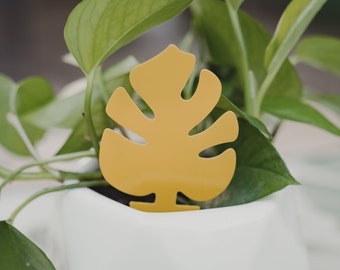 Monstera shaped sticky traps for fungus gnats (on-sale)!