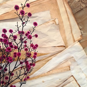 Papel teñido con té o café, tamaño A4, papel vintage, envejecido, estilo antiguo para diarios basura, adornos, álbumes de recortes, etiquetas y manualidades.