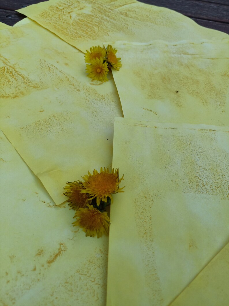 25pk TURMERICDYED PAPER A4 Size Tags Cardmaking Etsy