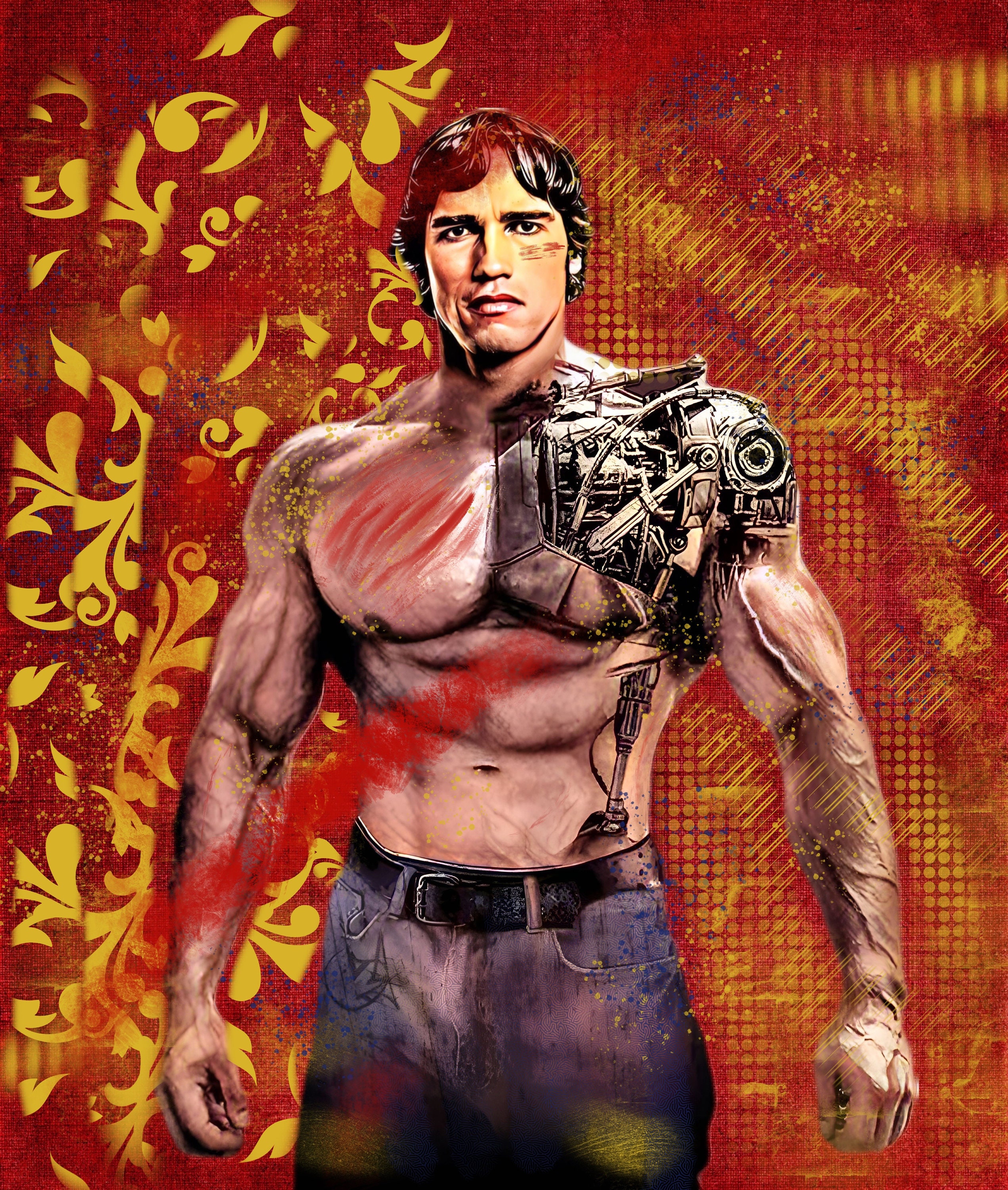 Arnold Schwarzenegger Terminator Mr. Olympia Custom Art Canvas
