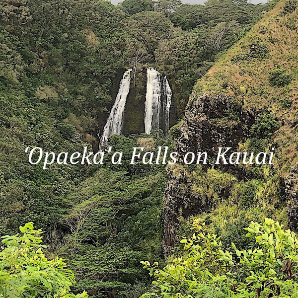 Opaekaa Falls on the Wailua River on the Island of Kauai Hawaii - Original Photo Art Note Card 5.5x8.5