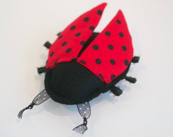 ladybug cat toy