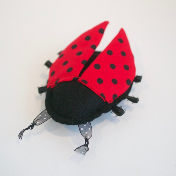 Ladybug Black Cat Etsy