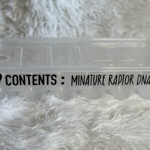 May include: A clear plastic egg container with a lid. The container has a label that reads "CONTENTS: MINATURE RAPTOR DNA" in black text. Black silhouette of a chicken is on each side of the label.