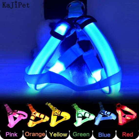 LED Luminous Dog Harness-safety Flashing Dog Harness-light up - Etsy India