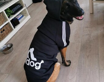 adidog sweater