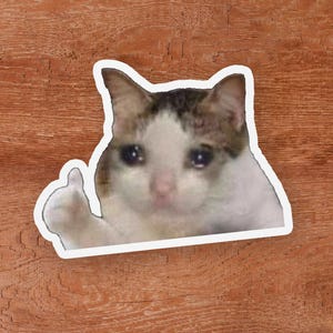 May include: A die-cut sticker featuring a brown and white cat with a sad, teary-eyed expression, holding up a single paw in a thumbs-up gesture. The sticker has a white border and is presented against a textured, medium-brown wood grain background.