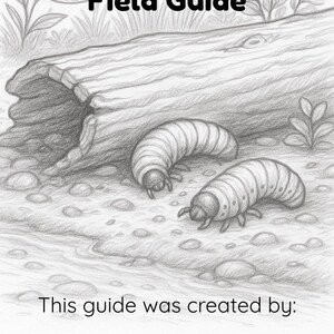 May include: A pencil sketch illustration of a "Bug Foraging Field Guide" with two grubs near a log. The guide's title is in bold, black letters. The bottom of the image includes the text "This guide was created by:" and the name of the creator.