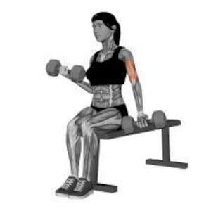 Op de afbeelding: Een grijswaarden illustratie van een persoon die op een bank zit en een dumbbell curl uitvoert. De persoon houdt een dumbbell in elke hand, met &eacute;&eacute;n arm gebogen, waarbij de biceps te zien is. De afbeelding staat tegen een witte achtergrond.
